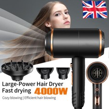 4000W Professional Fast Dry