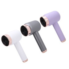 Cordless Ionic Hair Dryer